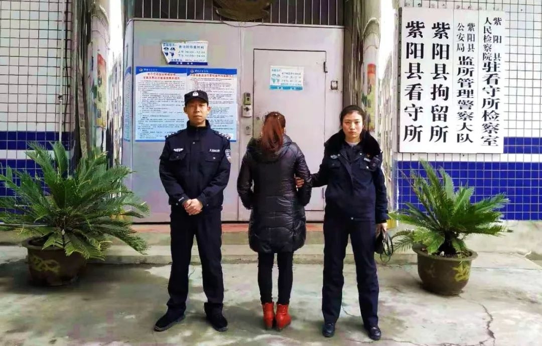 <b>送彩金短信：揭秘线上娱乐平台的营销策略</b>