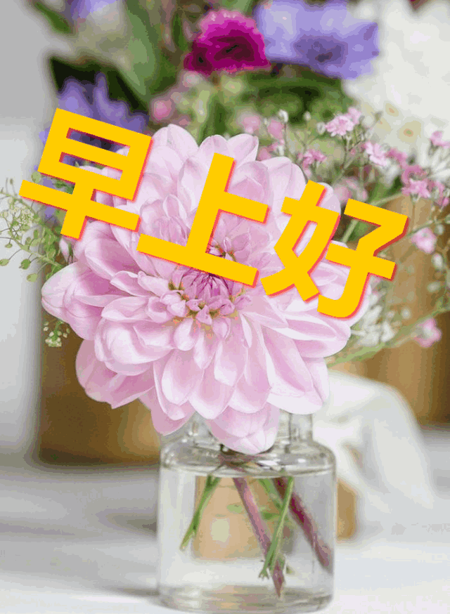 <b>退休干部重阳节短信：温馨祝福，共度佳节</b>